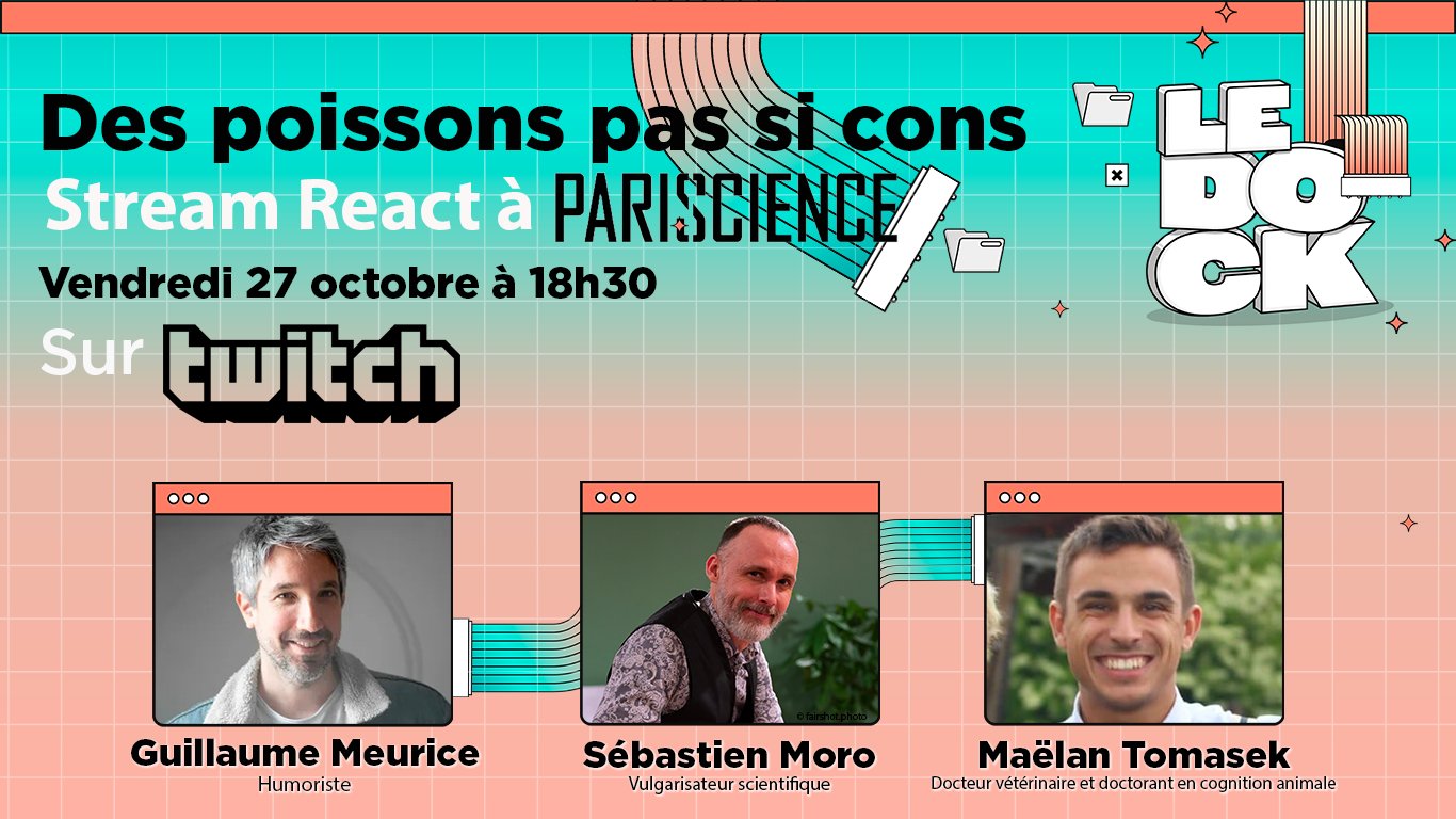 Program of the Twitch live for Arte France