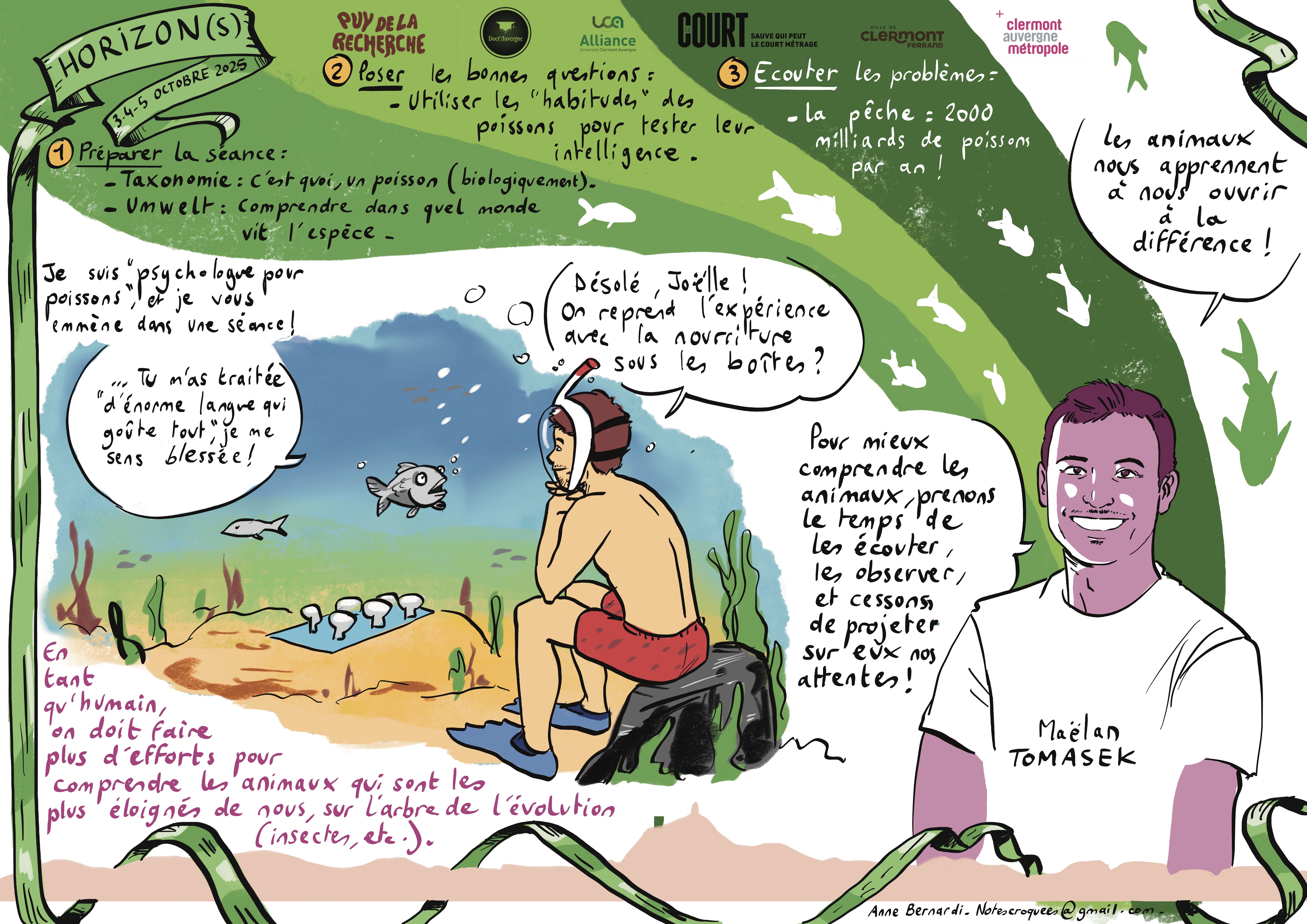 Program of the Twitch live for Arte France